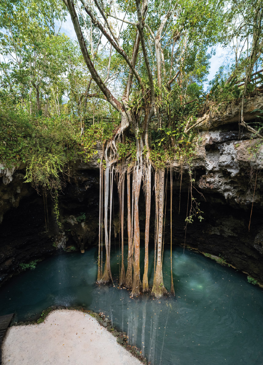 Cenote